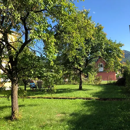 Loewenzahn Scheibbs