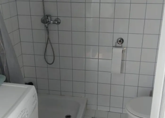 Loewenzahn * Scheibbs